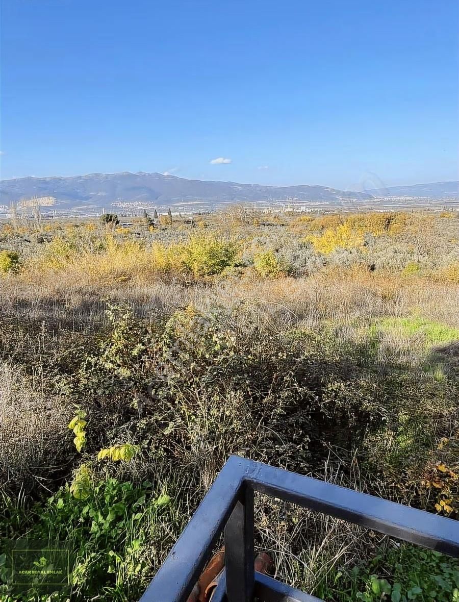 Acar Royal'den Gürlede Asfalt Kenarı Hobi Bahçesi - Görsel 29