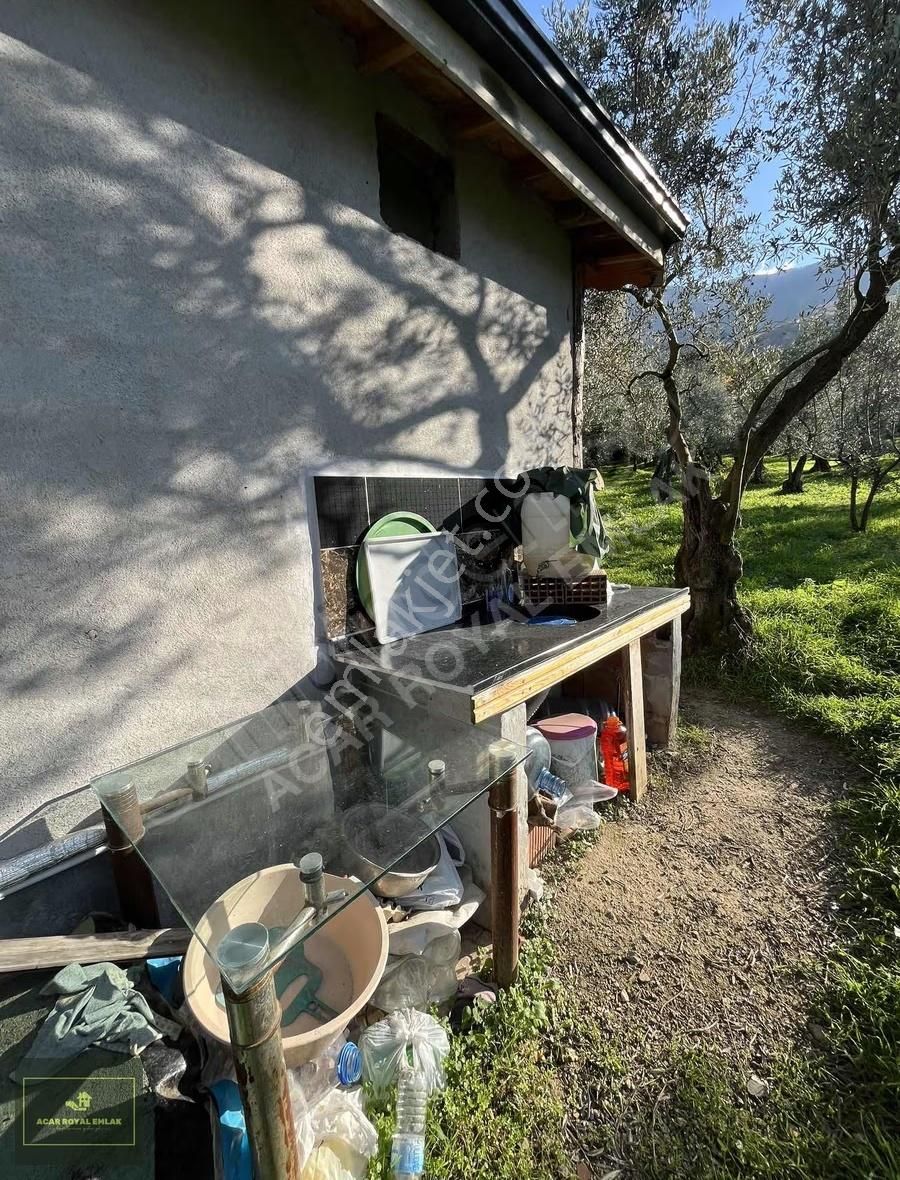 Acar Royal'den Gürlede Asfalt Kenarı Hobi Bahçesi - Görsel 22