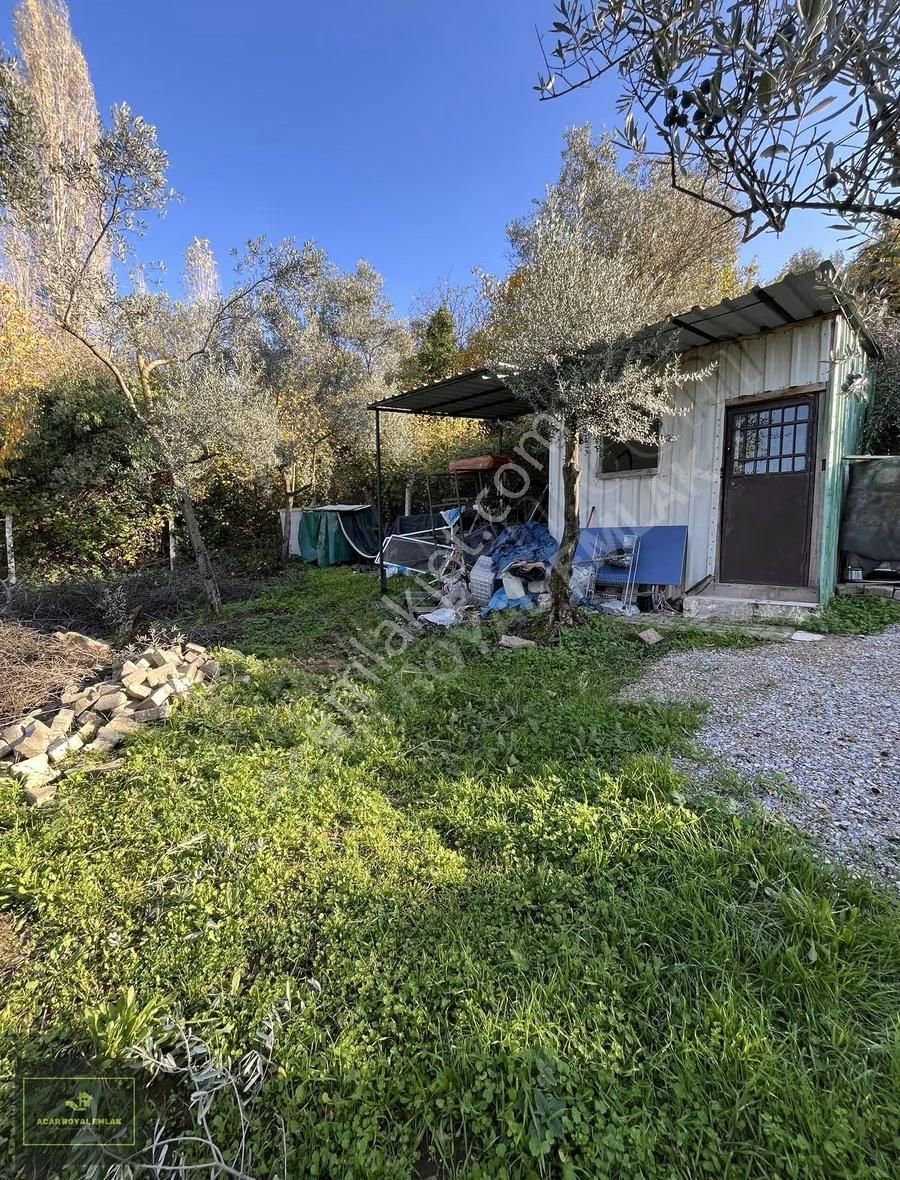 Acar Royal'den Gürlede Asfalt Kenarı Hobi Bahçesi - Görsel 6