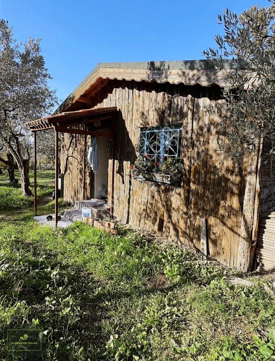 Acar Royal'den Gürlede Asfalt Kenarı Hobi Bahçesi - Görsel 7