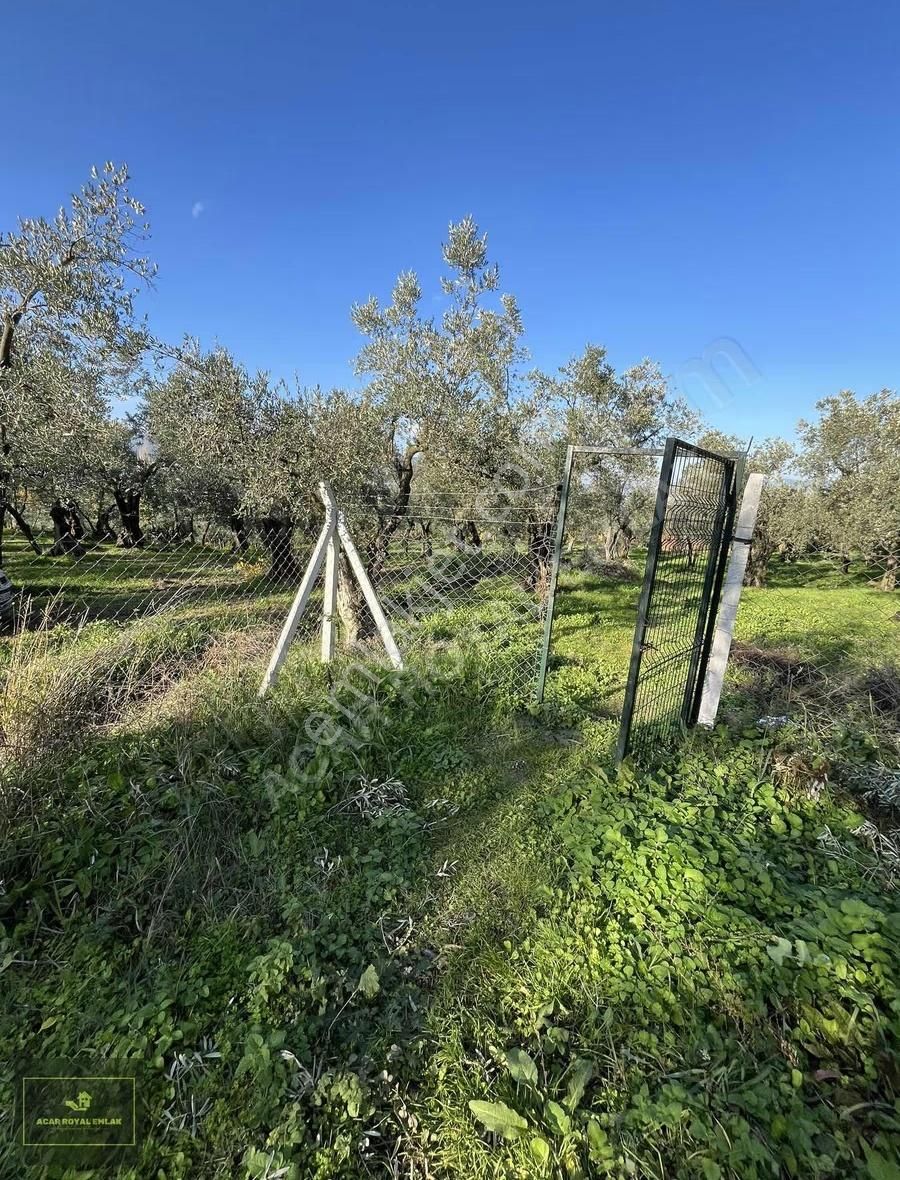 Acar Royal'den Gürlede Asfalt Kenarı Hobi Bahçesi - Görsel 32