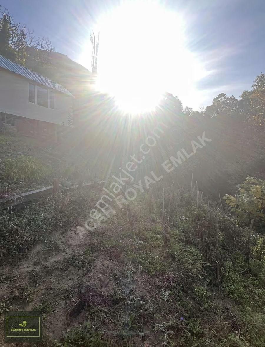 Acar Royal'den Karsakta Çiftlik - Görsel 3