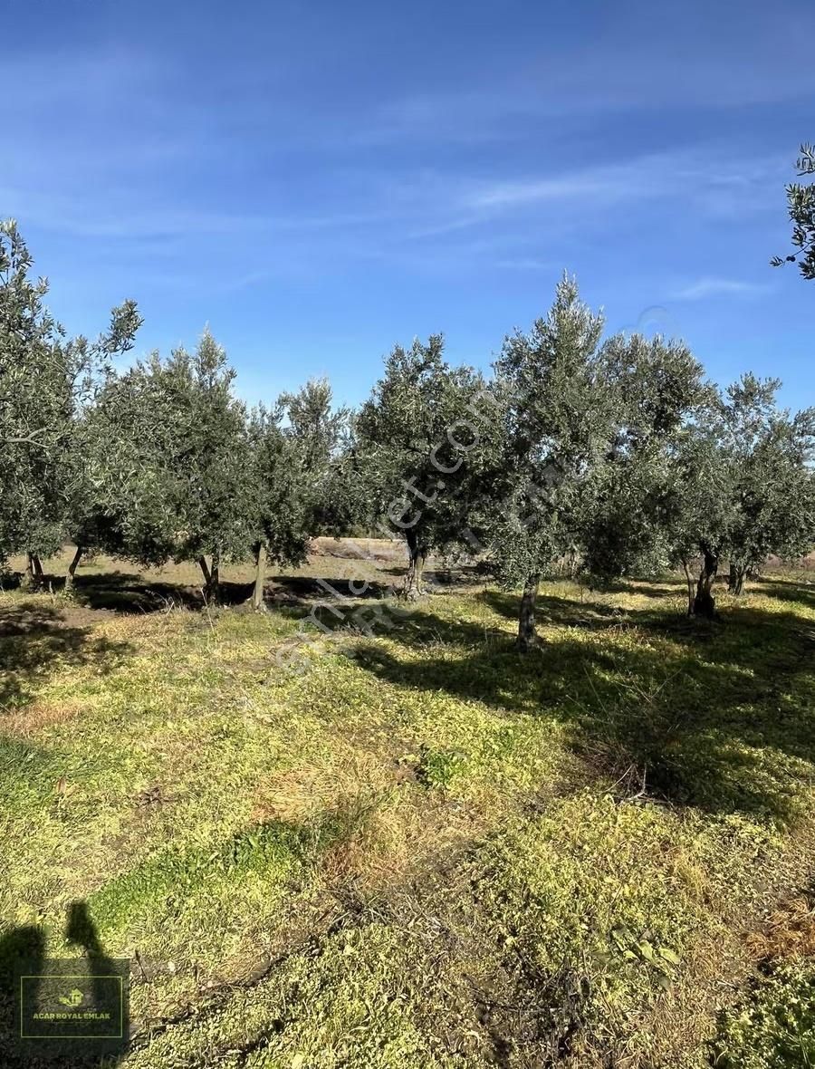 2 Ayrı Tapu 3917 M2 Karsakta Ticari Depolama İmarlı Arsa - Görsel 17