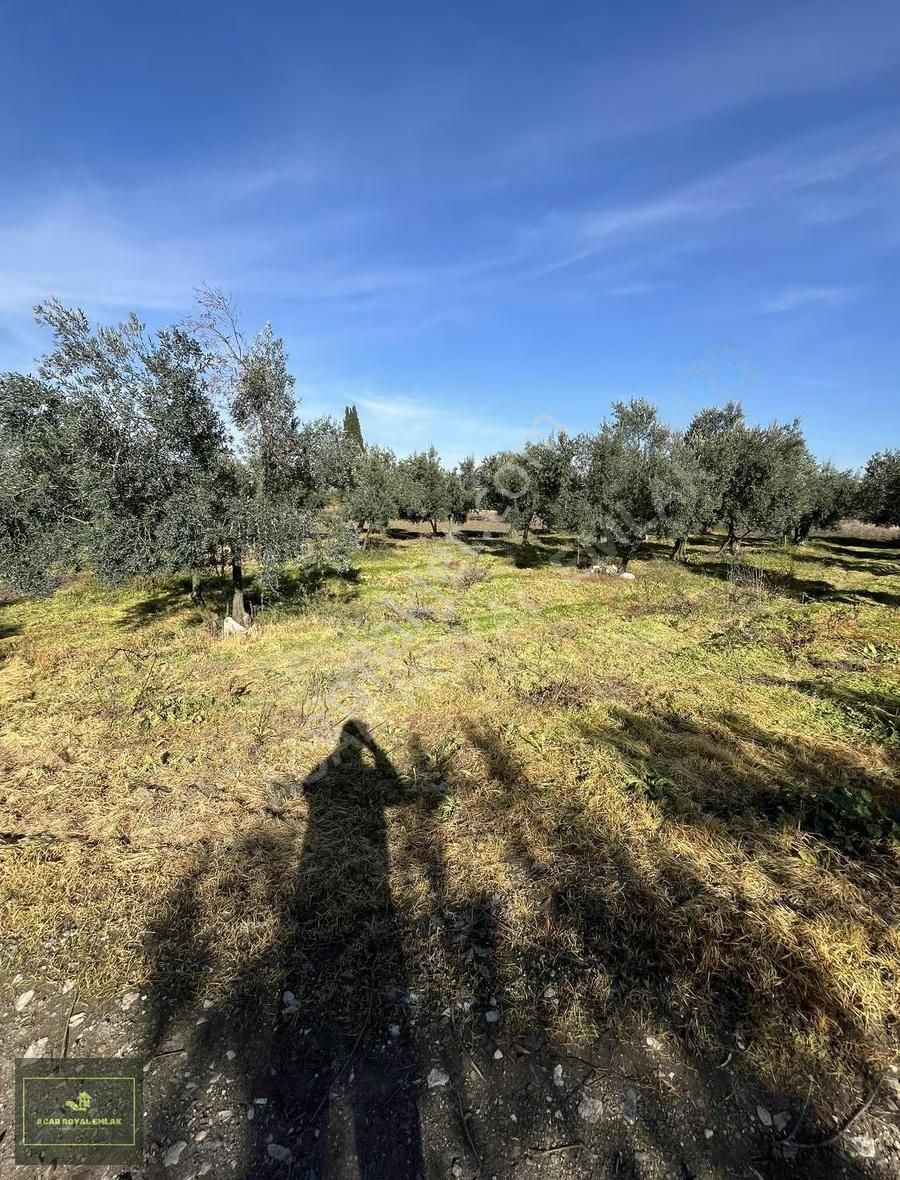 2 Ayrı Tapu 3917 M2 Karsakta Ticari Depolama İmarlı Arsa - Görsel 15