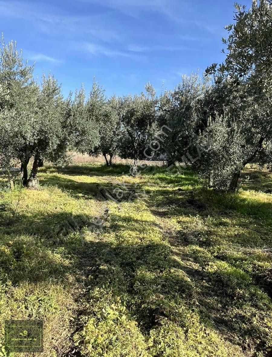 2 Ayrı Tapu 3917 M2 Karsakta Ticari Depolama İmarlı Arsa - Görsel 6