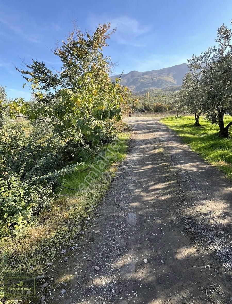 2 Ayrı Tapu 3917 M2 Karsakta Ticari Depolama İmarlı Arsa - Görsel 18