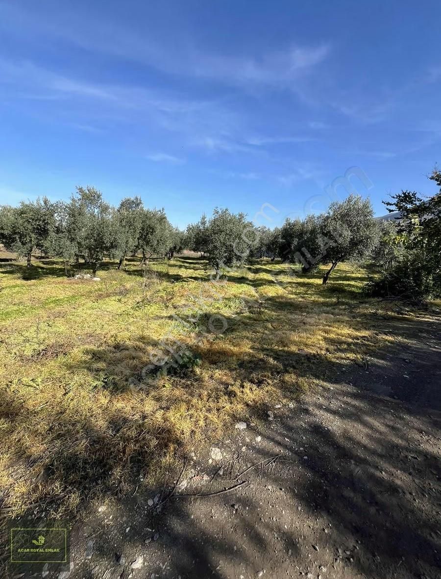 2 Ayrı Tapu 3917 M2 Karsakta Ticari Depolama İmarlı Arsa - Görsel 22