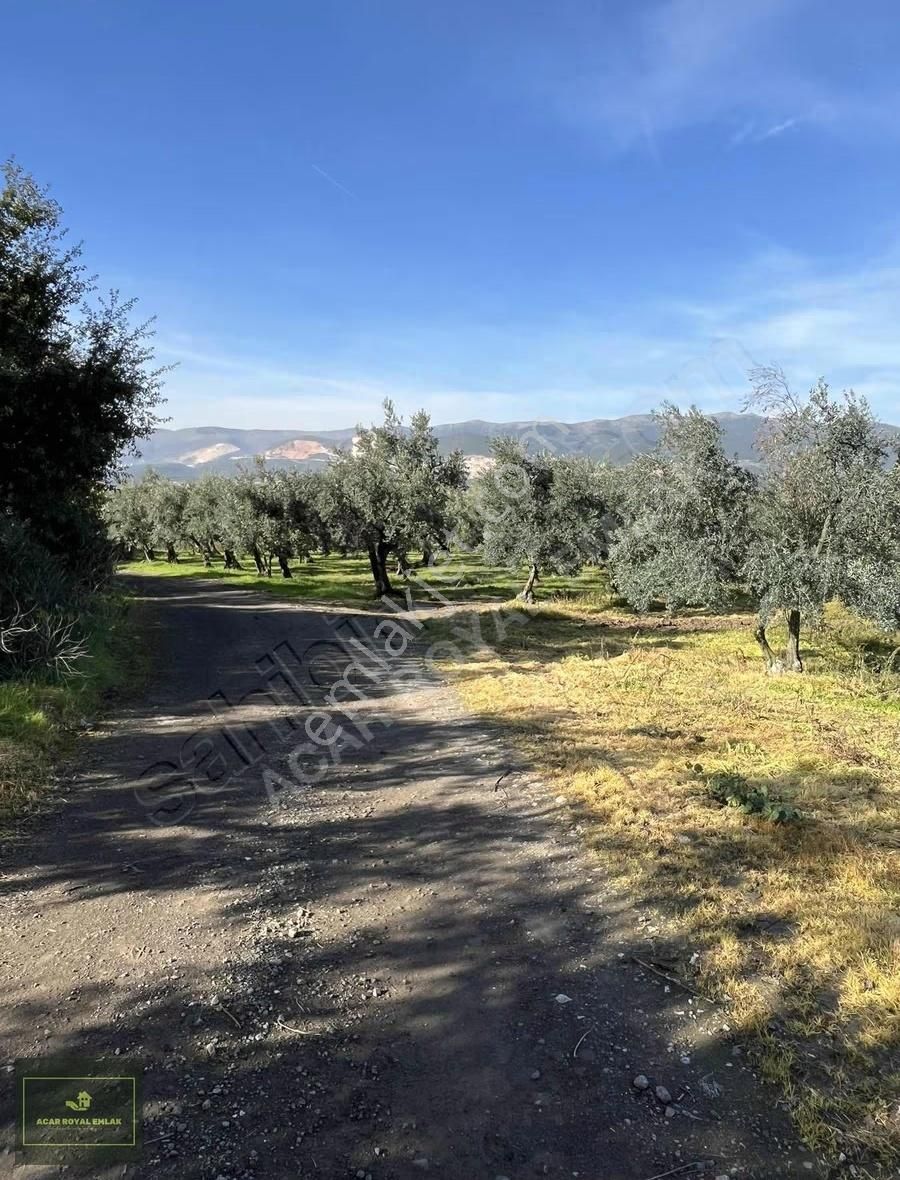 2 Ayrı Tapu 3917 M2 Karsakta Ticari Depolama İmarlı Arsa - Görsel 11