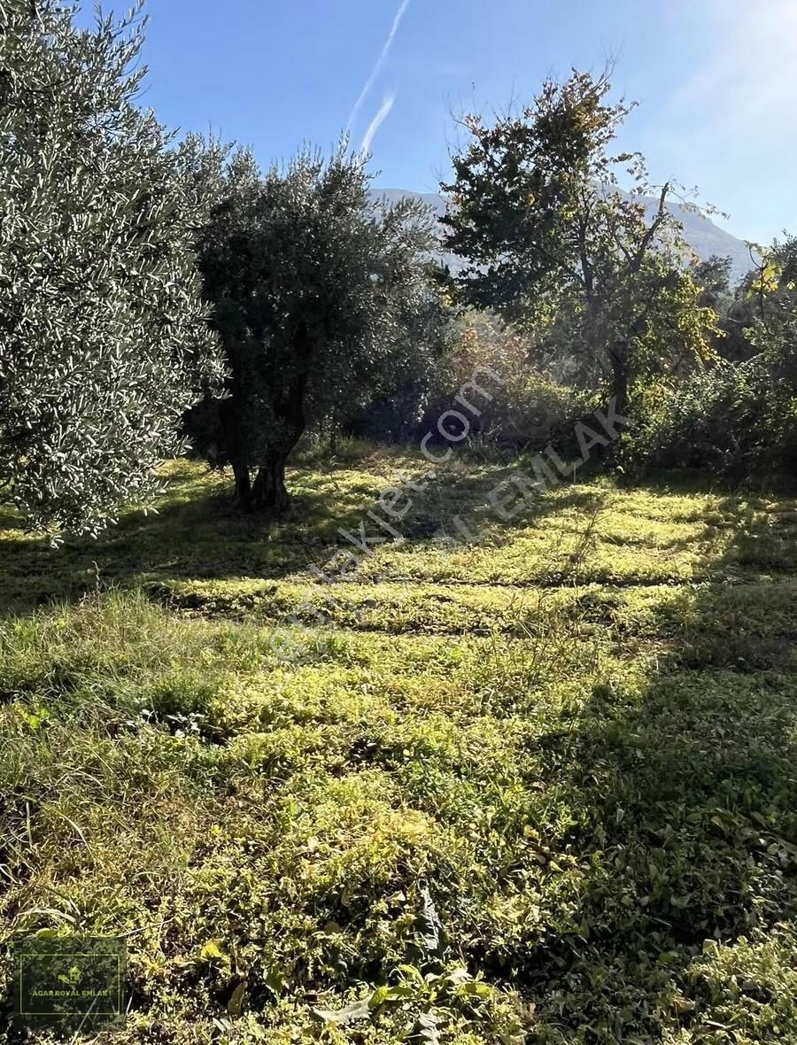 2 Ayrı Tapu 3917 M2 Karsakta Ticari Depolama İmarlı Arsa - Görsel 4