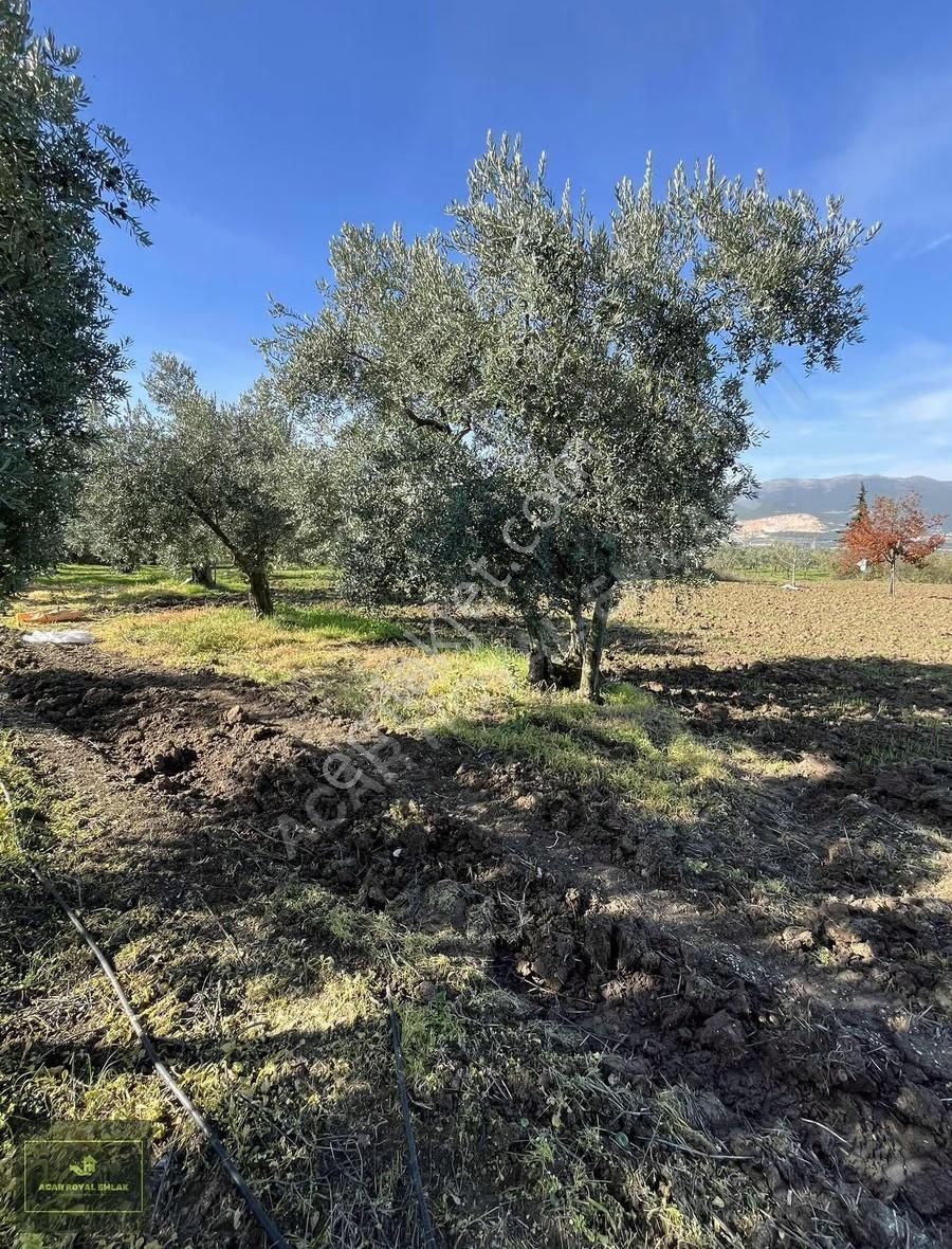 2 Ayrı Tapu 3917 M2 Karsakta Ticari Depolama İmarlı Arsa - Görsel 32