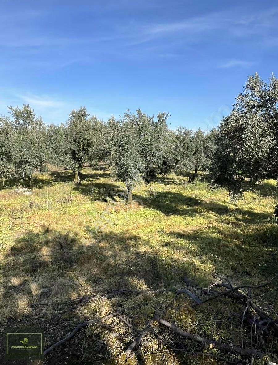 2 Ayrı Tapu 3917 M2 Karsakta Ticari Depolama İmarlı Arsa - Görsel 16