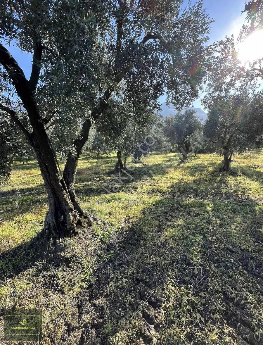 2 Ayrı Tapu 3917 M2 Karsakta Ticari Depolama İmarlı Arsa - Görsel 13