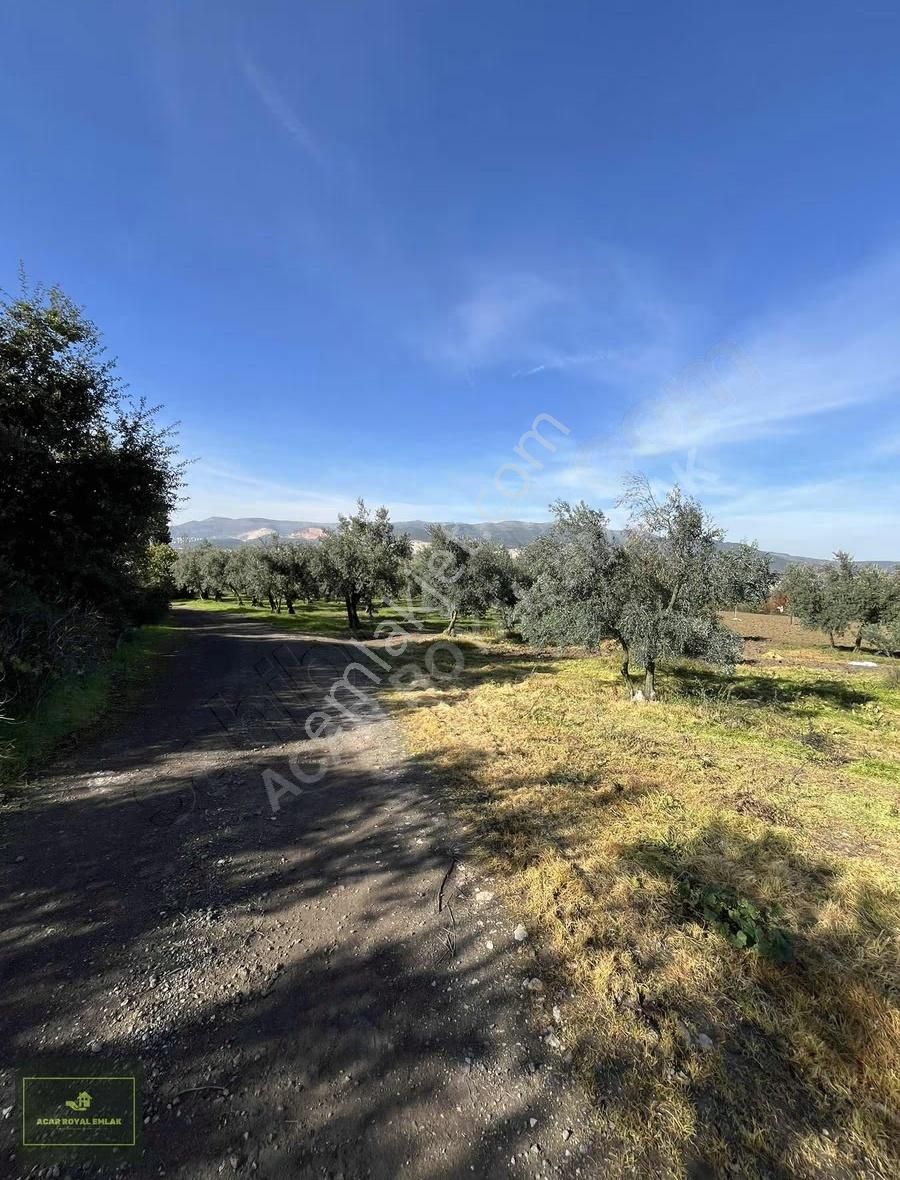 2 Ayrı Tapu 3917 M2 Karsakta Ticari Depolama İmarlı Arsa - Görsel 31