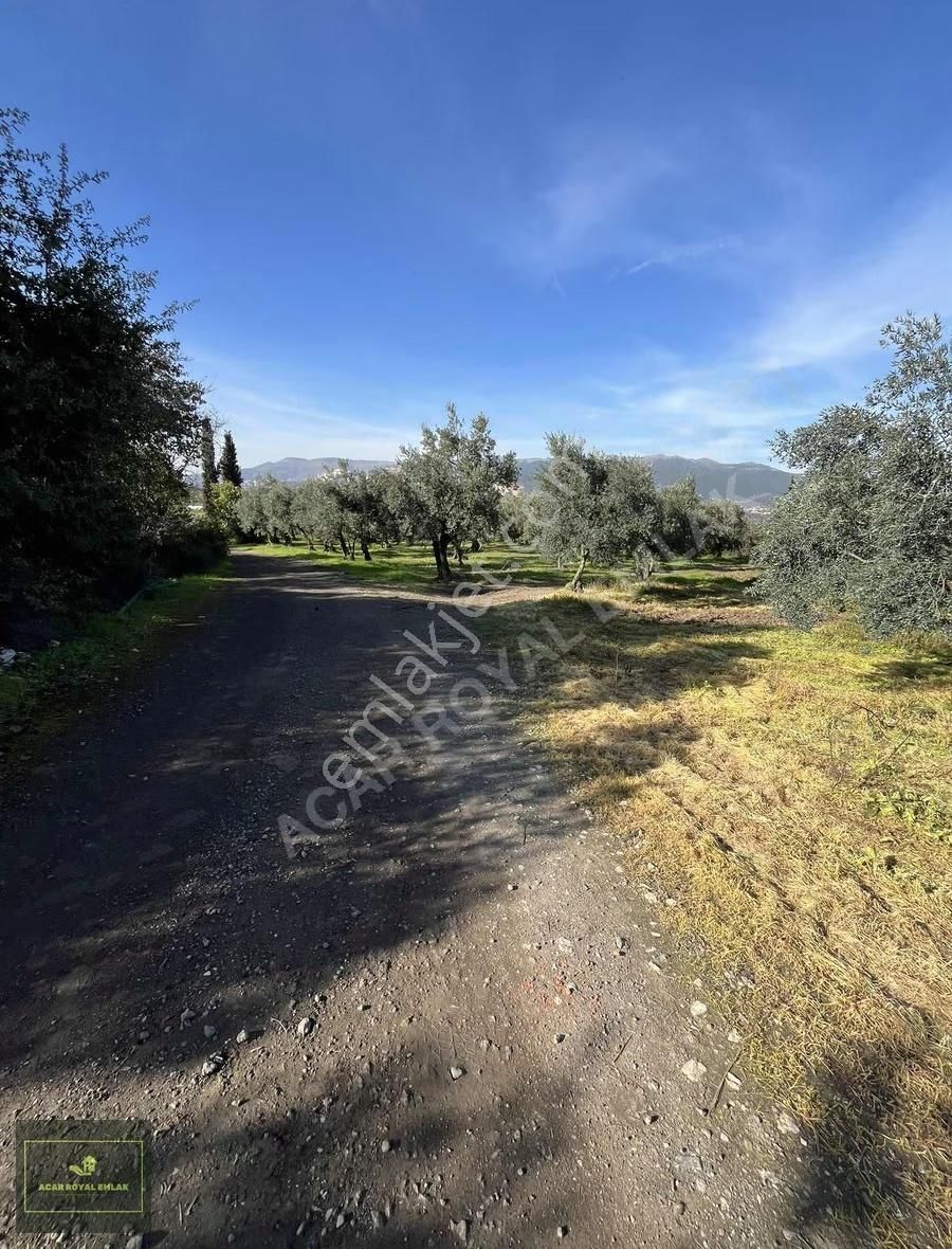 2 Ayrı Tapu 3917 M2 Karsakta Ticari Depolama İmarlı Arsa - Görsel 24