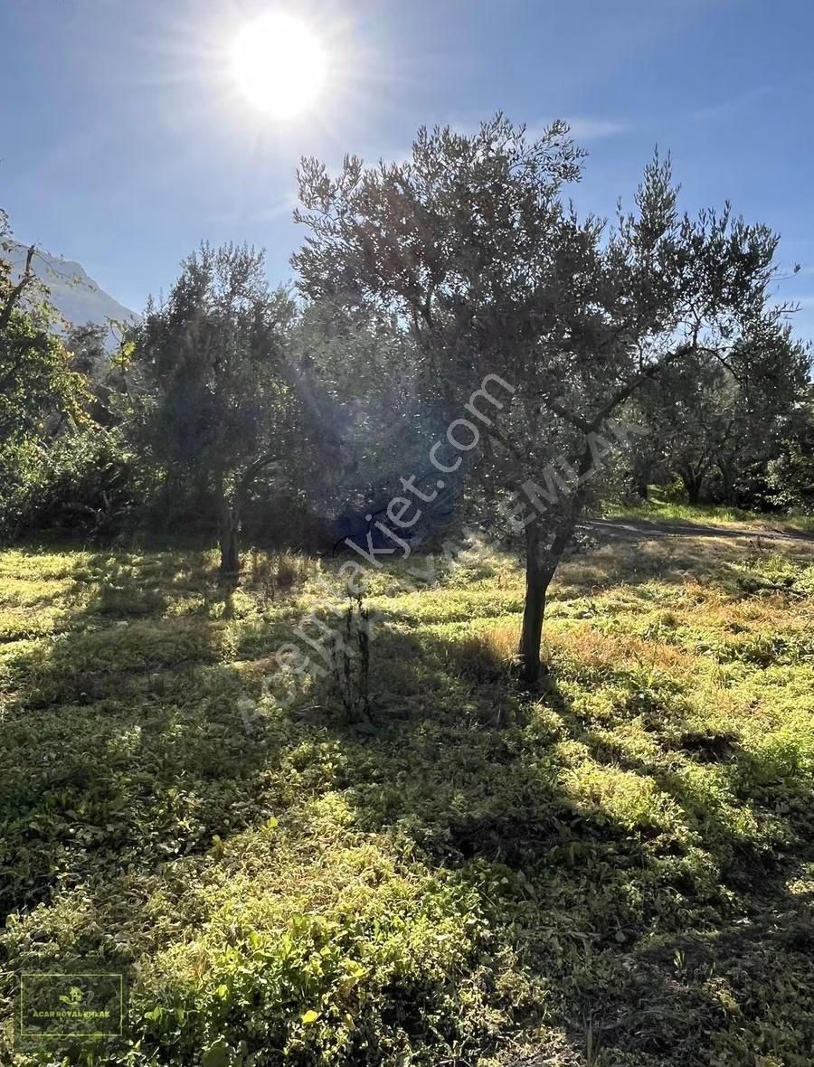 2 Ayrı Tapu 3917 M2 Karsakta Ticari Depolama İmarlı Arsa - Görsel 2