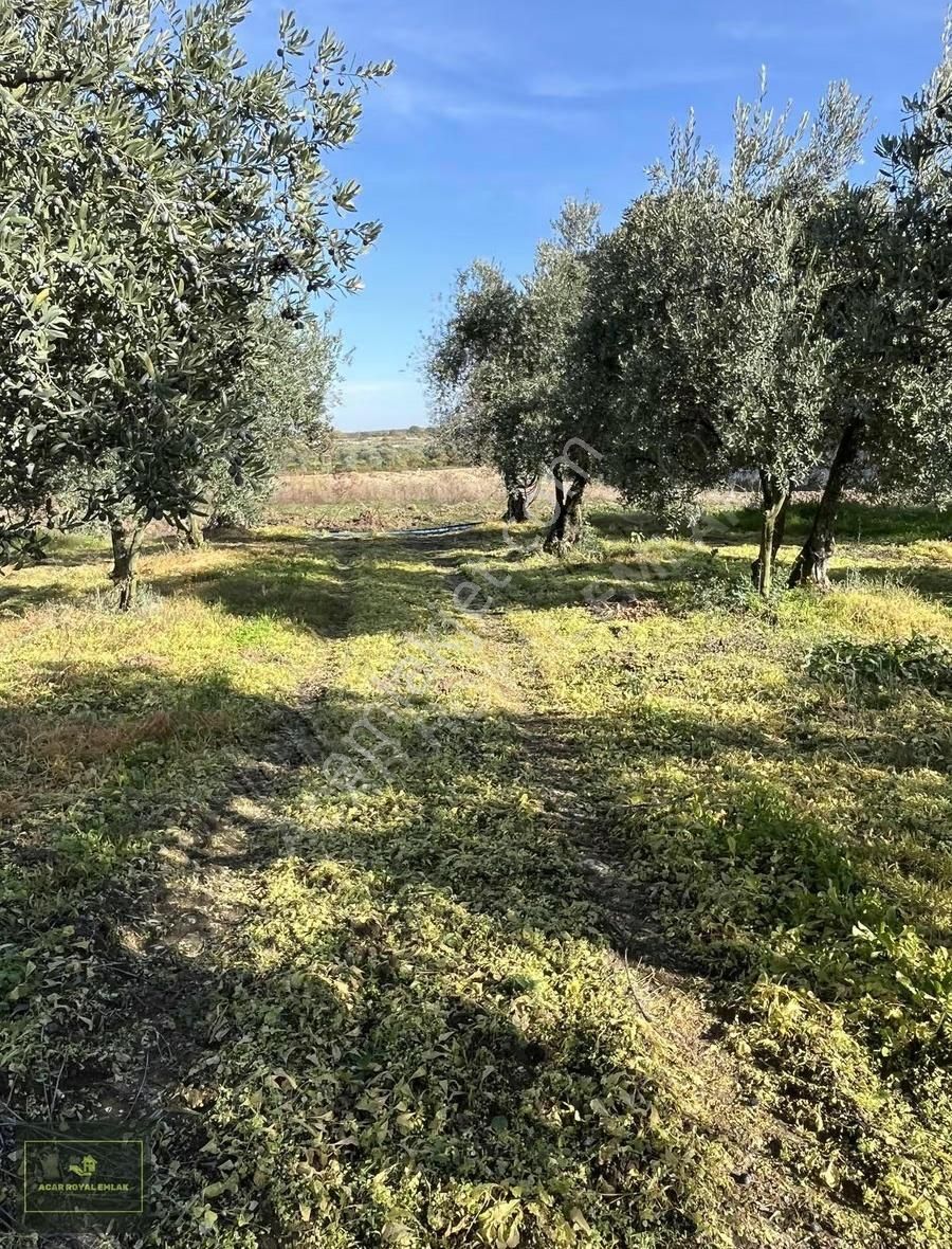 2 Ayrı Tapu 3917 M2 Karsakta Ticari Depolama İmarlı Arsa - Görsel 14