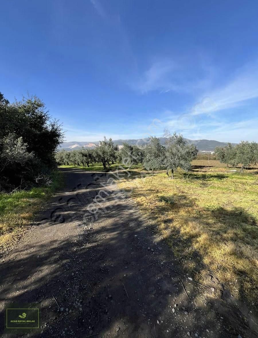 2 Ayrı Tapu 3917 M2 Karsakta Ticari Depolama İmarlı Arsa - Görsel 12