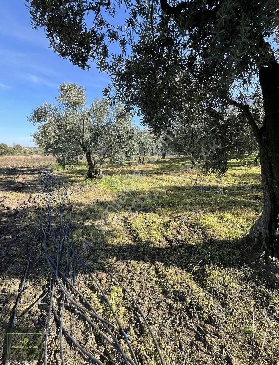 2 Ayrı Tapu 3917 M2 Karsakta Ticari Depolama İmarlı Arsa - Görsel 23