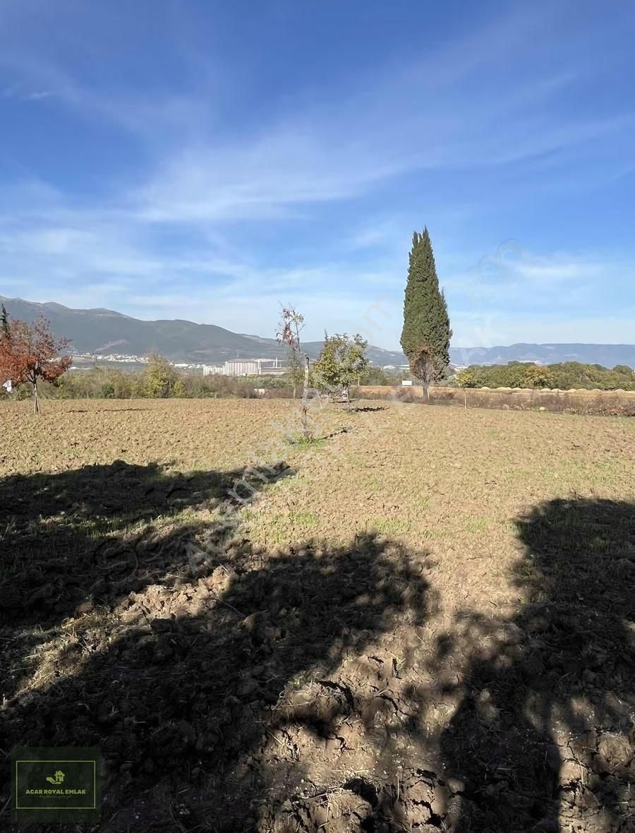 2 Ayrı Tapu 3917 M2 Karsakta Ticari Depolama İmarlı Arsa