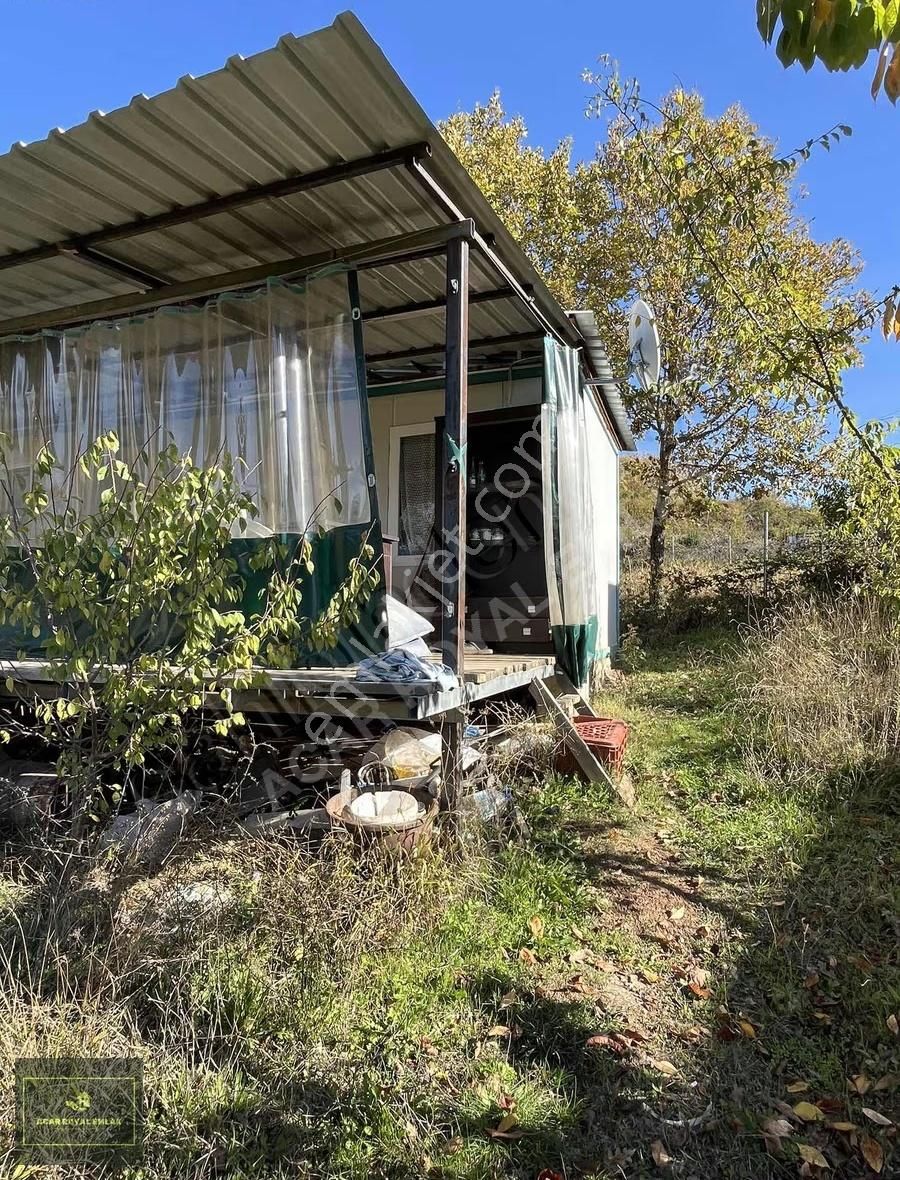 Acar Royal'den Haydariyede Muhteşem Hobi Bahçesi - Görsel 17