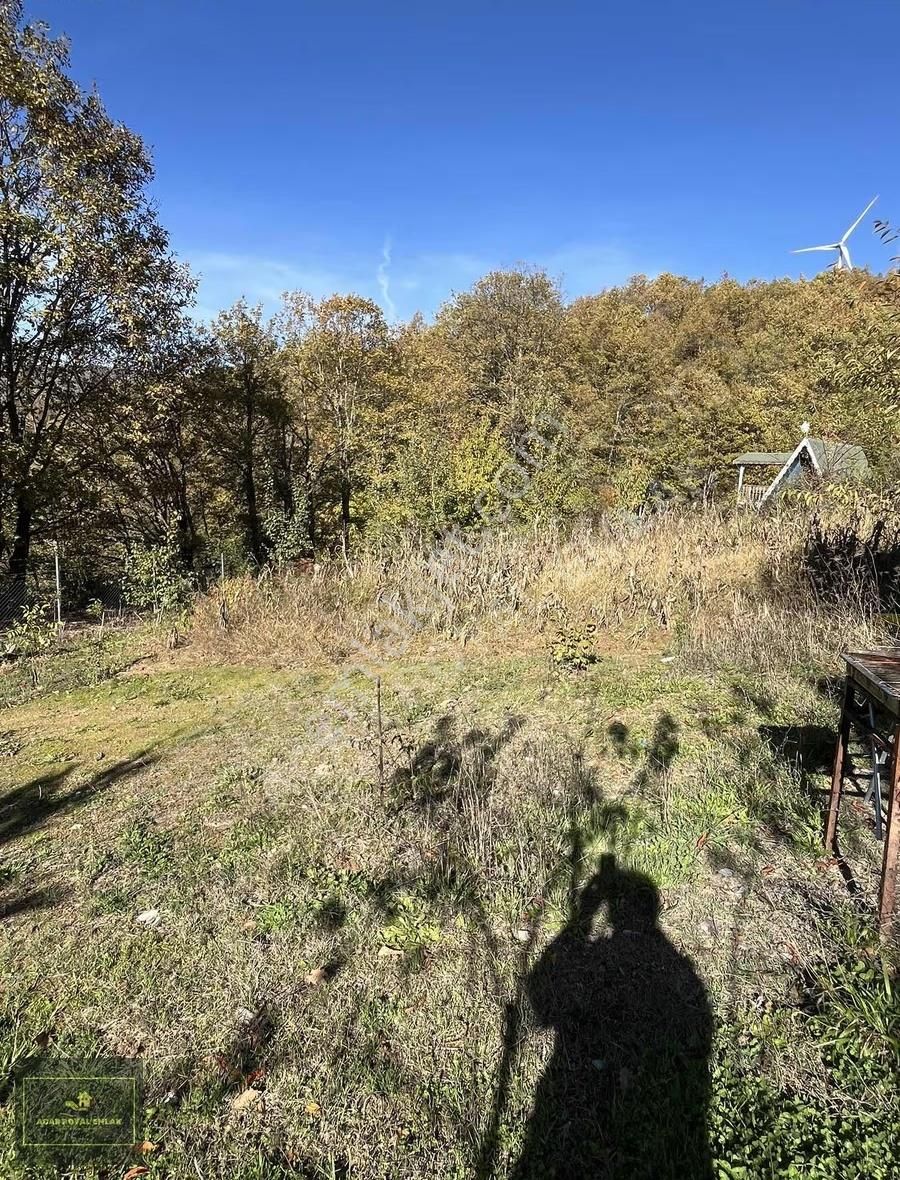 Acar Royal'den Haydariyede Muhteşem Hobi Bahçesi - Görsel 26