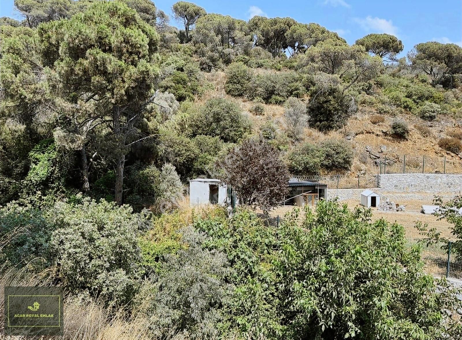 Karacaali'de Yol Kenarı Deniz Manzaralı Yatırımlık Arazi - Görsel 9