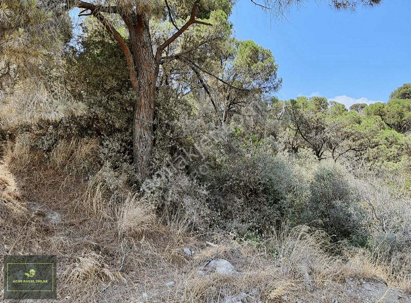 Karacaali'de Yol Kenarı Deniz Manzaralı Yatırımlık Arazi - Görsel 2