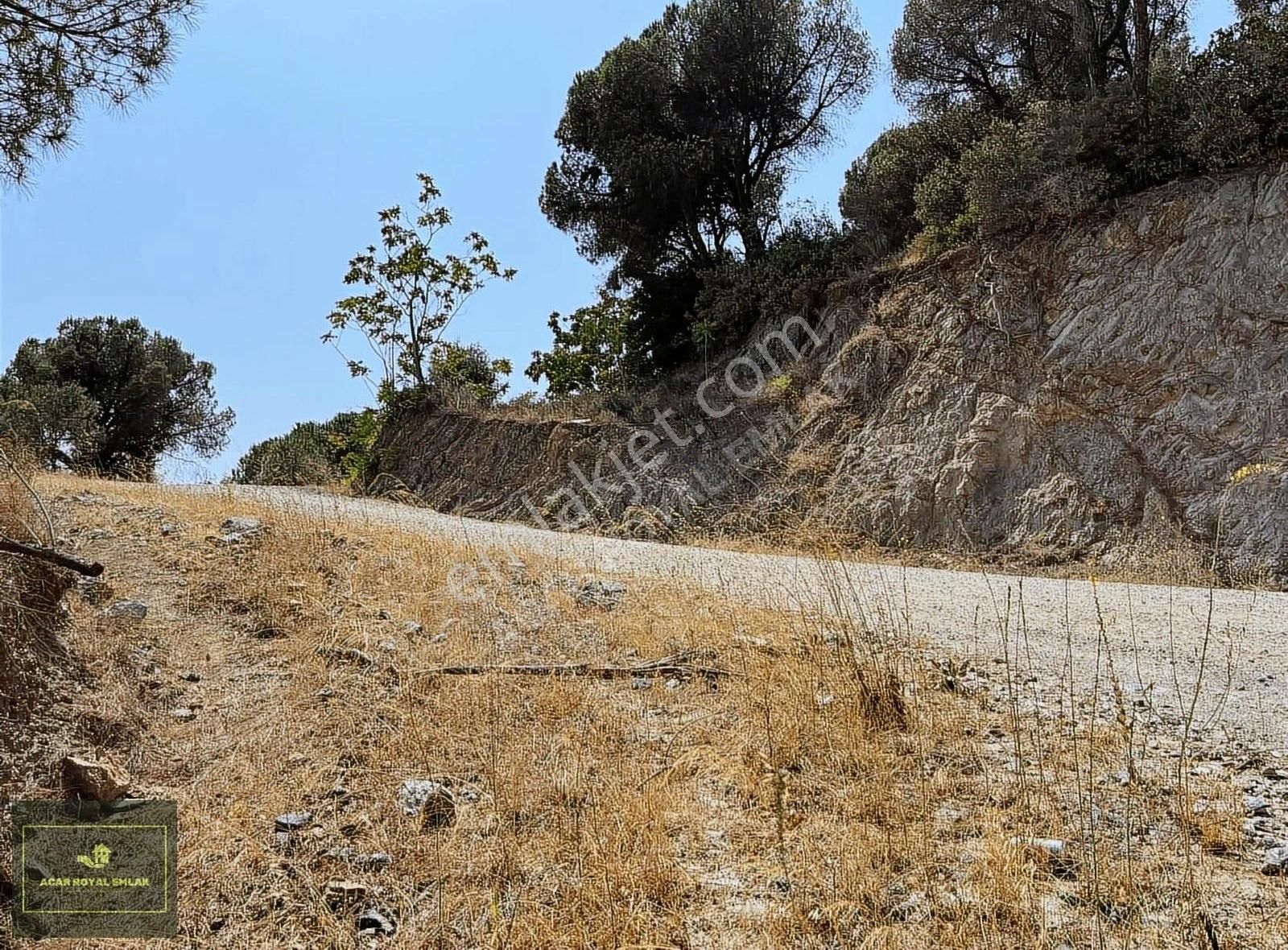 Karacaali'de Yol Kenarı Deniz Manzaralı Yatırımlık Arazi - Görsel 24