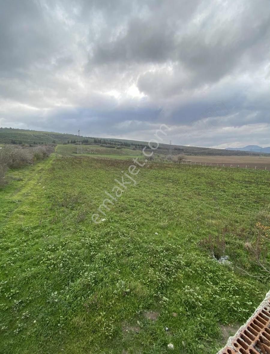 Kınık Hamzahocalı Köyü Mevkii Satılık Tarla - Görsel 11