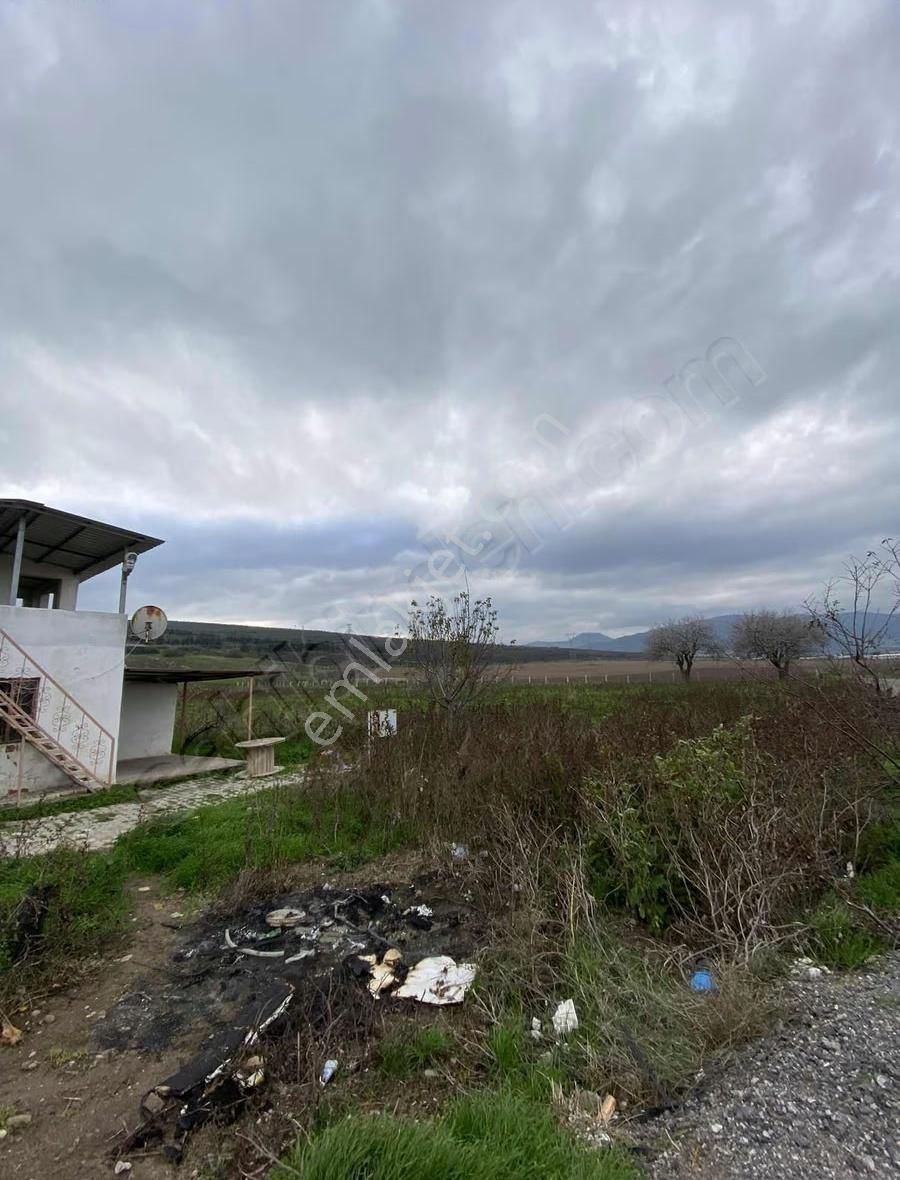 Kınık Hamzahocalı Köyü Mevkii Satılık Tarla