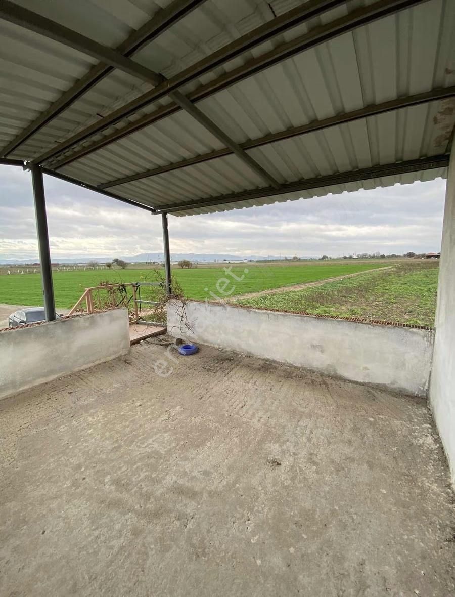 Kınık Hamzahocalı Köyü Mevkii Satılık Tarla - Görsel 8