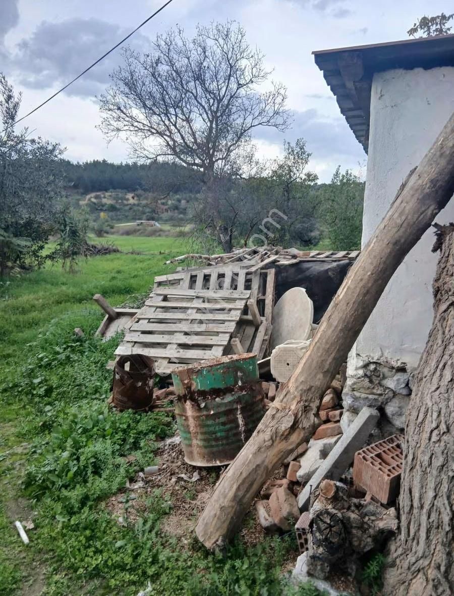 Kınık Işıklar Köyünde Satılık İçinde Köy Evi Olan Tarla - Görsel 15