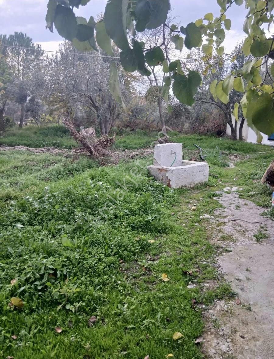 Kınık Işıklar Köyünde Satılık İçinde Köy Evi Olan Tarla - Görsel 9