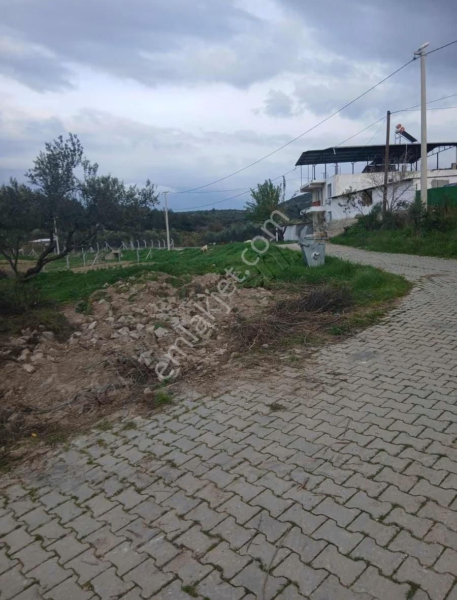 Kınık Işıklar Köyünde Satılık İçinde Köy Evi Olan Tarla - Görsel 13