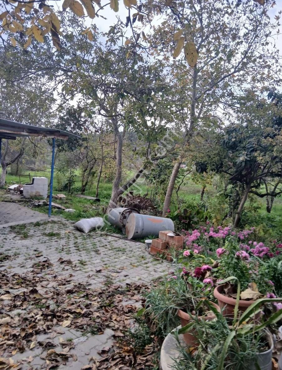 Kınık Işıklar Köyünde Satılık İçinde Köy Evi Olan Tarla - Görsel 14