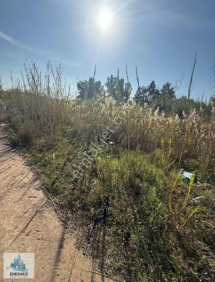 Kum Yolunda Kiralık Tarla - Görsel 4