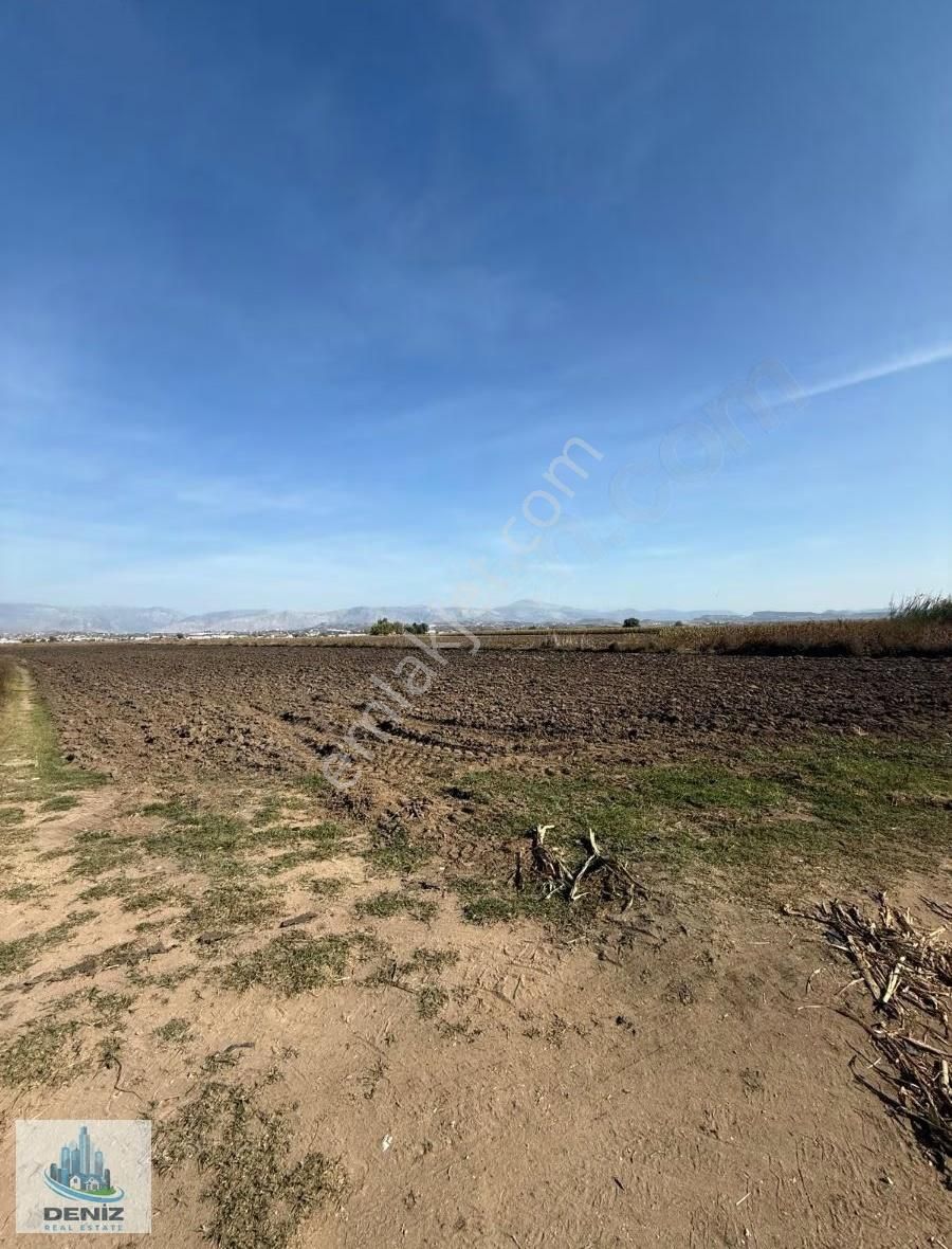 Kum Yolunda Kiralık Tarla