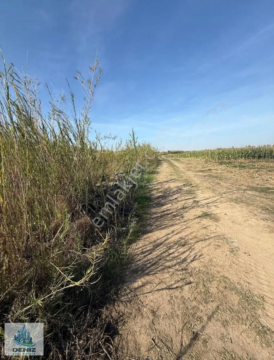 Kum Yolunda Kiralık Tarla - Görsel 3