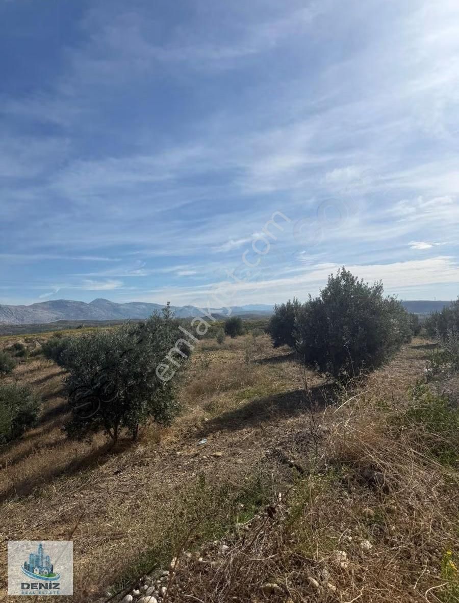 Satılık Tarla - Görsel 3
