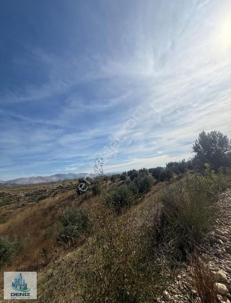 Satılık Tarla - Görsel 4