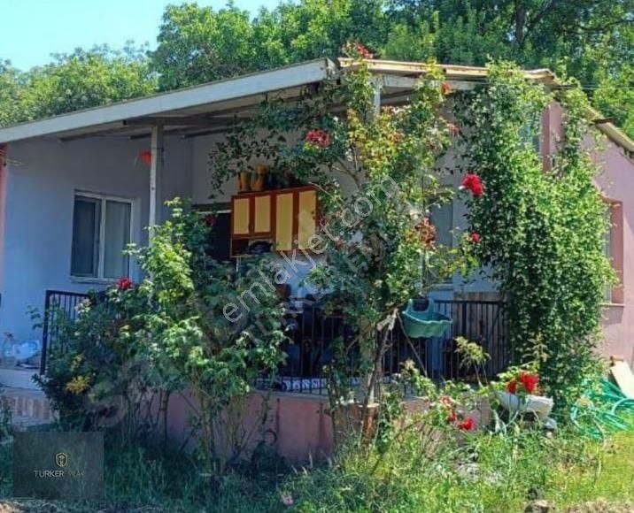 Türker Emlak-çıtak'da Hayallerinizin Zeytinli Tarlası İçinde Evi