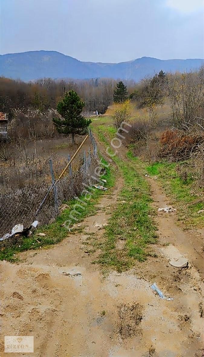 Lütfiye Köyü/kestel 400 M Satılık Hobi Bahçesi - Görsel 12