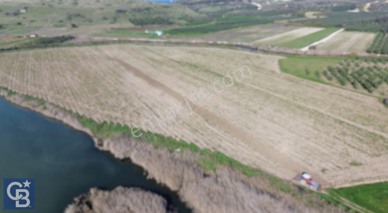 Yalı Mahallesi Adacık Mevkinde 13800m2 Tek Tapu Tarla - Görsel 25