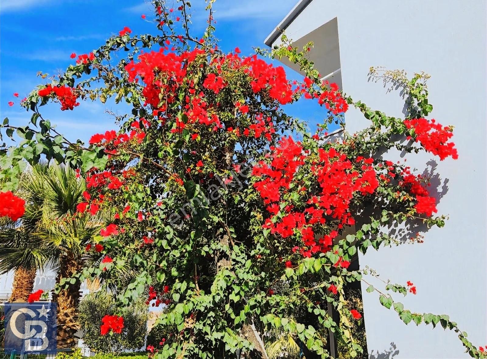 Aliağa Şakranda Site İçerisinde Satılık Havuzlu Villa - Görsel 19