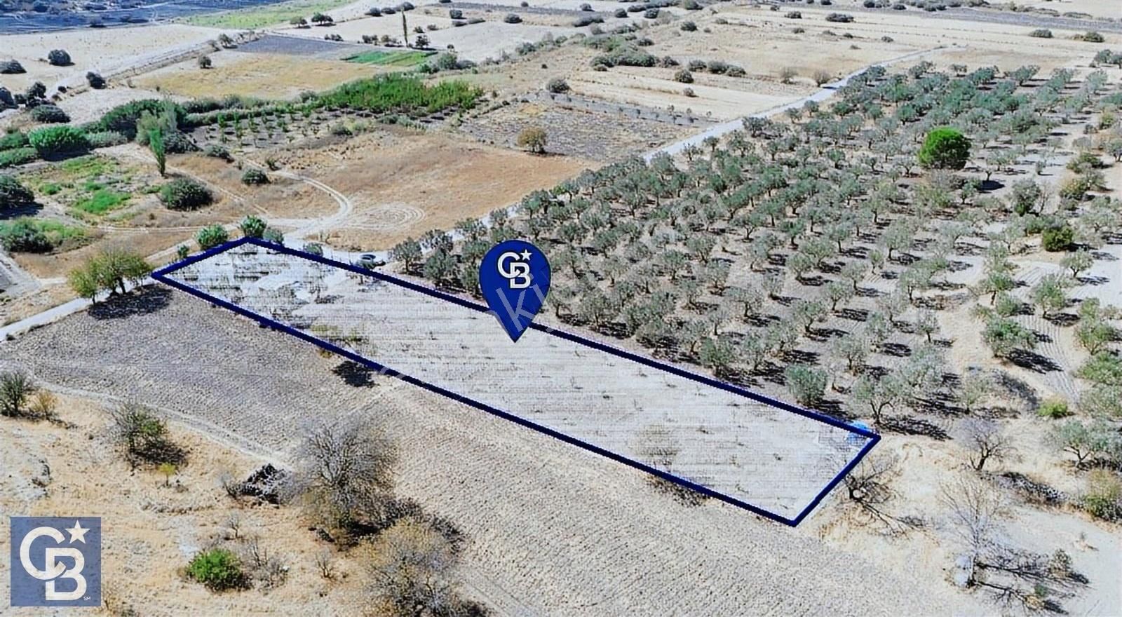 Kalabak'ta Elektrik+su+bungalov+57 Ağaçlı Müstakil 2.341 M2 - Görsel 23