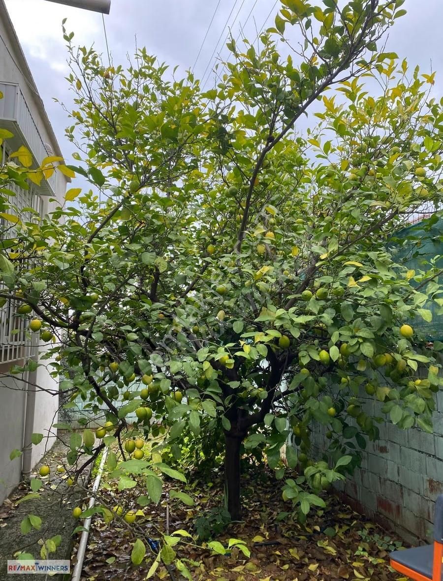 Pınarlı Mahallesinde Havalimanına Yakın Müstakil Ev - Görsel 11