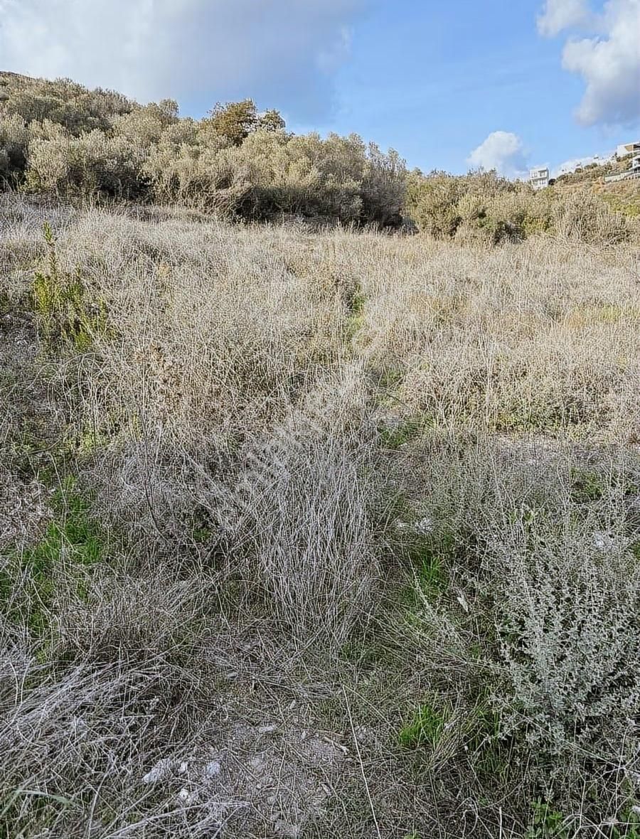 Akbaşlar'dan Bodrum'a Çok Yakın Boğaziçi'nde Fırsat Arsa - Görsel 5