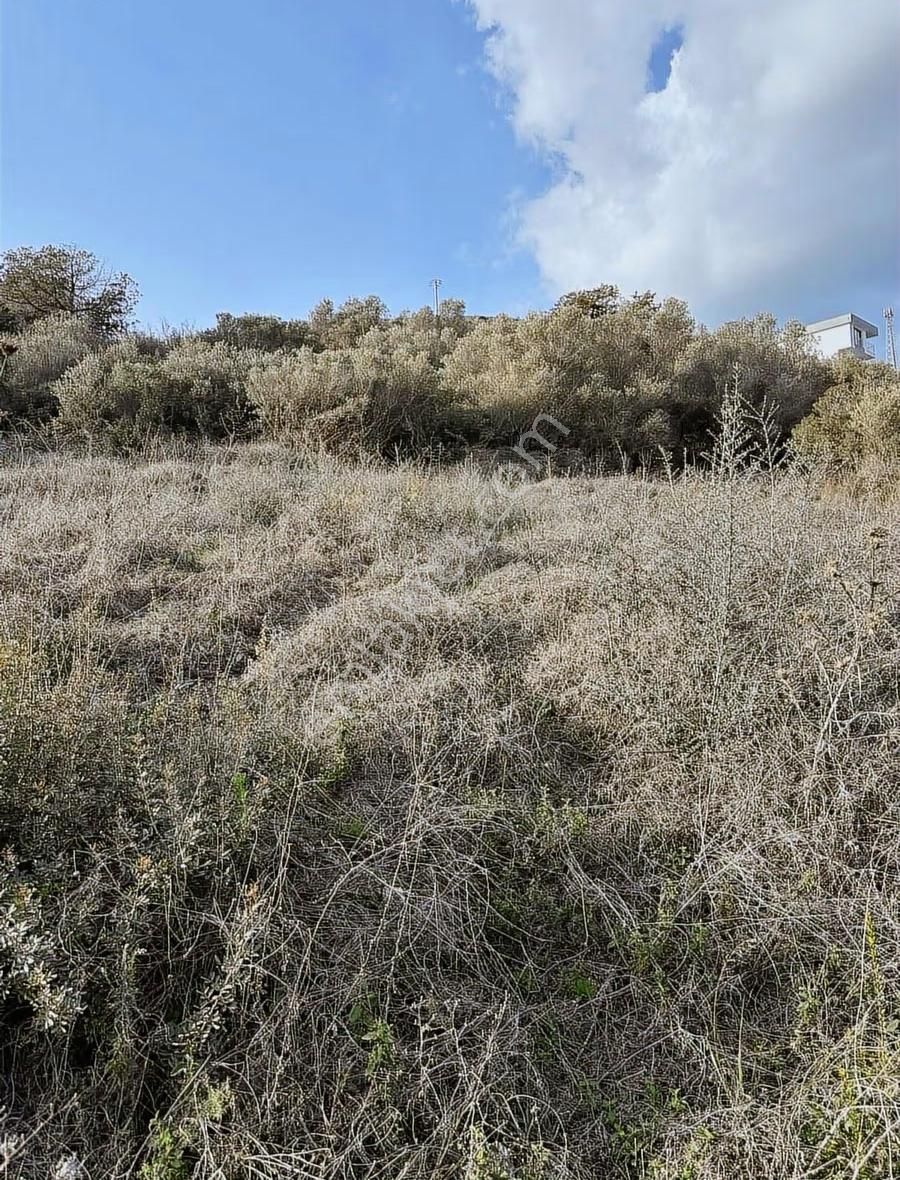 Akbaşlar'dan Bodrum'a Çok Yakın Boğaziçi'nde Fırsat Arsa - Görsel 6