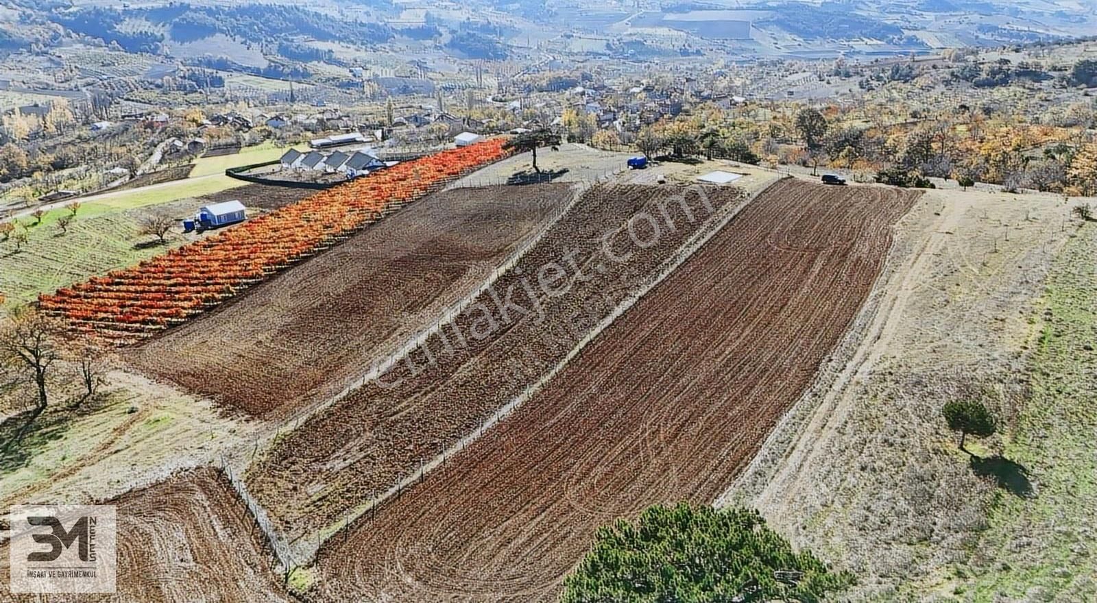 Sakarya Geyve Çine İmar Sınırı 3407m2 Panoramik Manzaralı Fırsat - Görsel 21