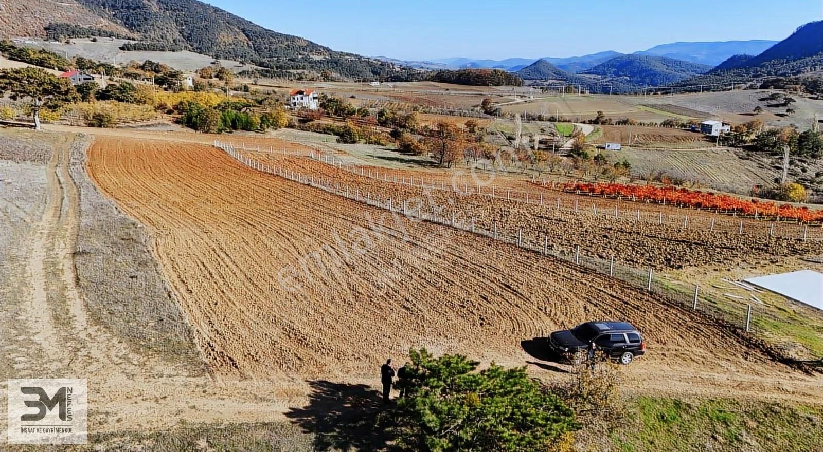 Sakarya Geyve Çine İmar Sınırı 3407m2 Panoramik Manzaralı Fırsat - Görsel 8